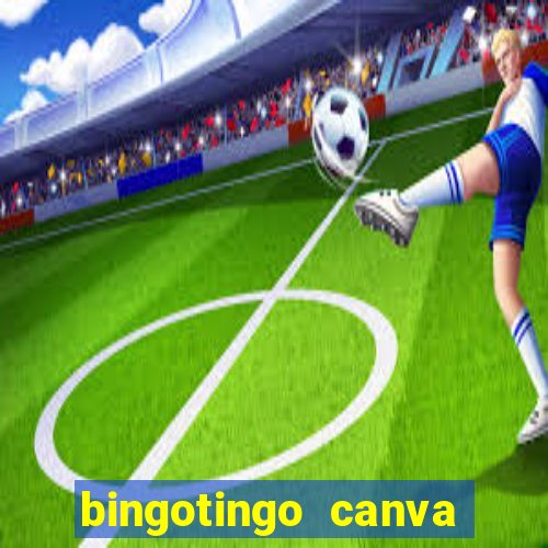 bingotingo canva pro gratis